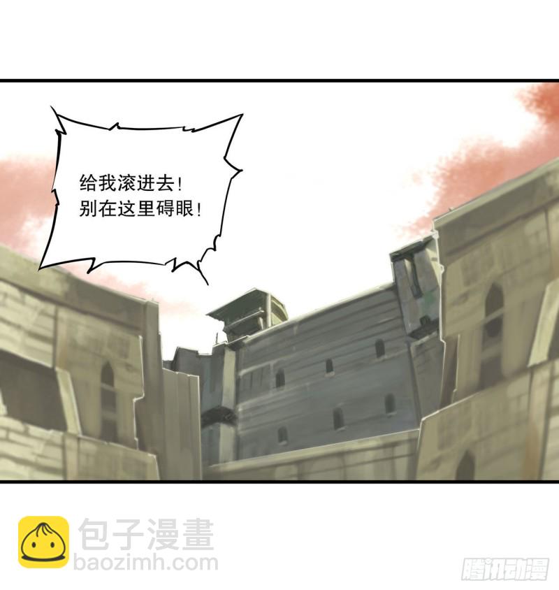 116 伪装29