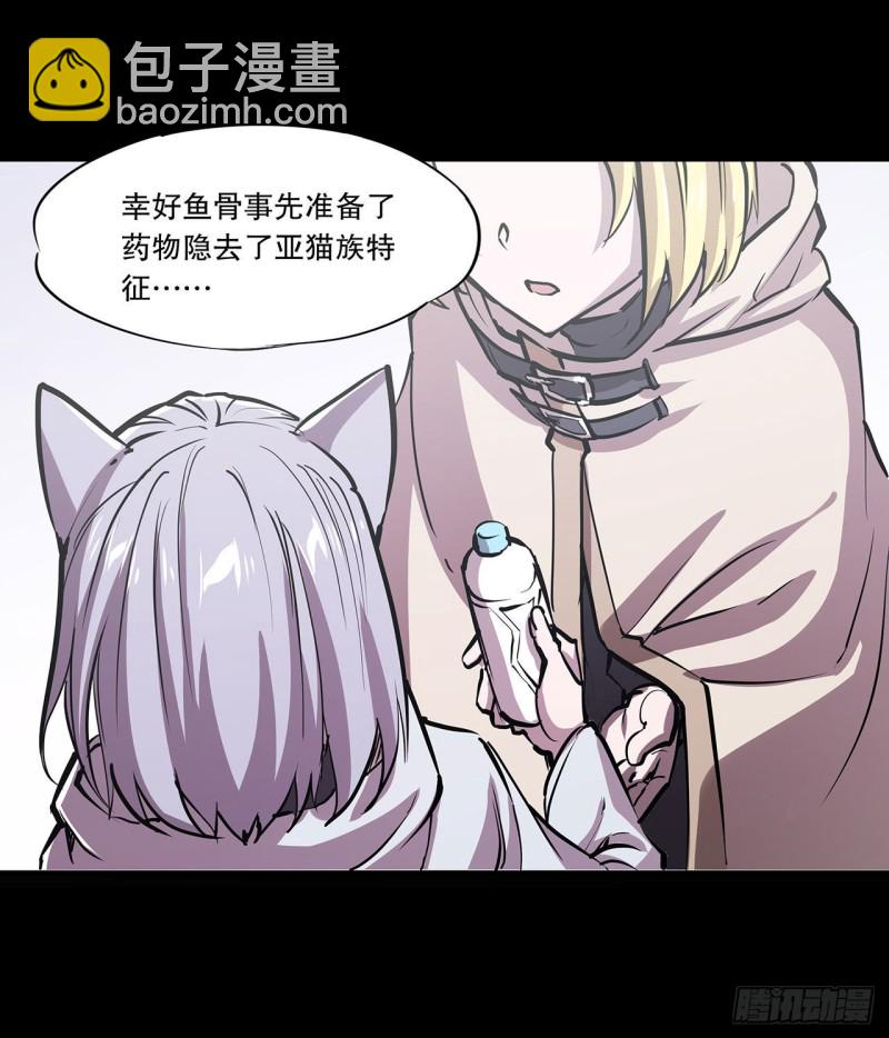 116 伪装32