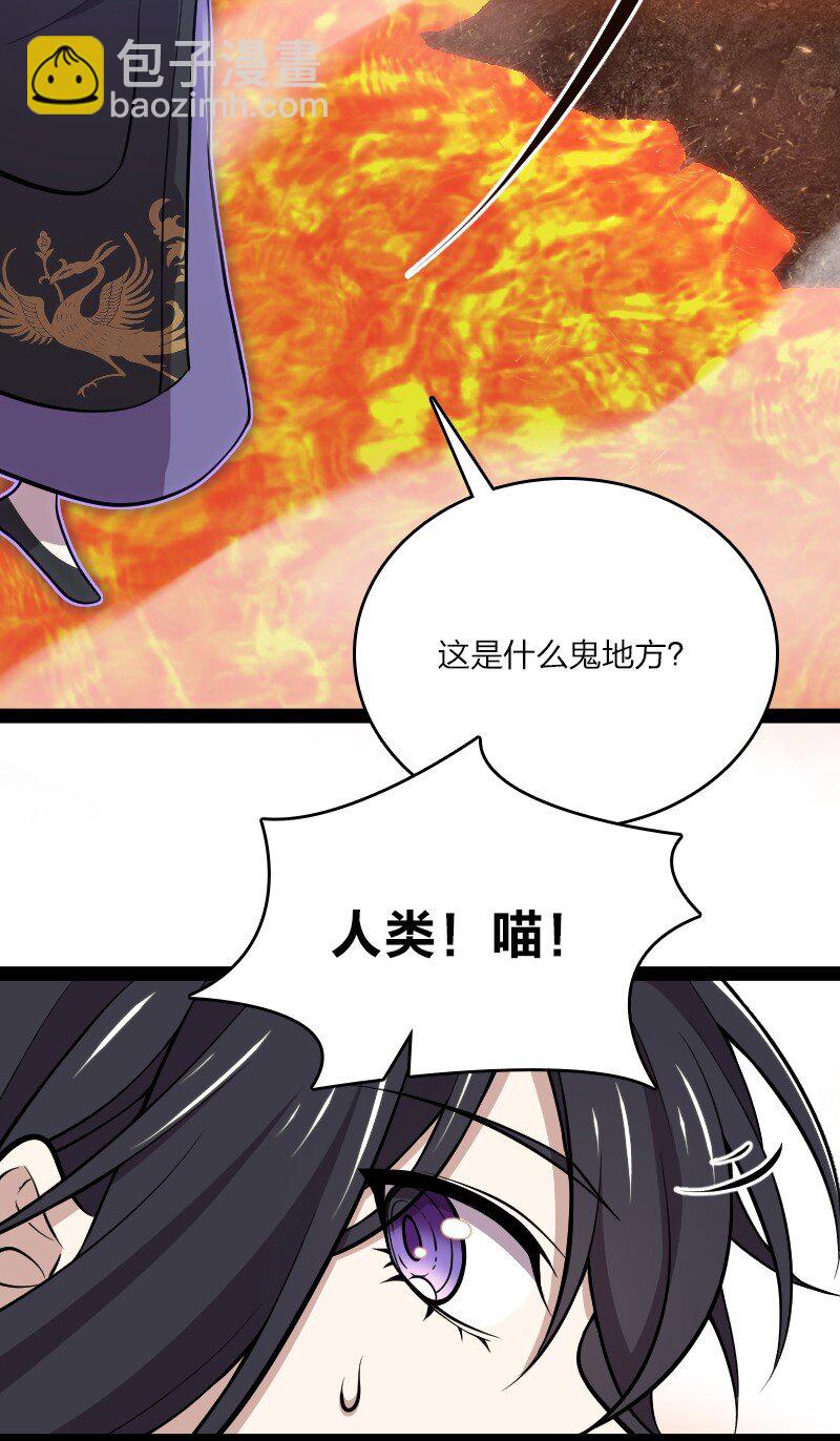 094 猫咪？52
