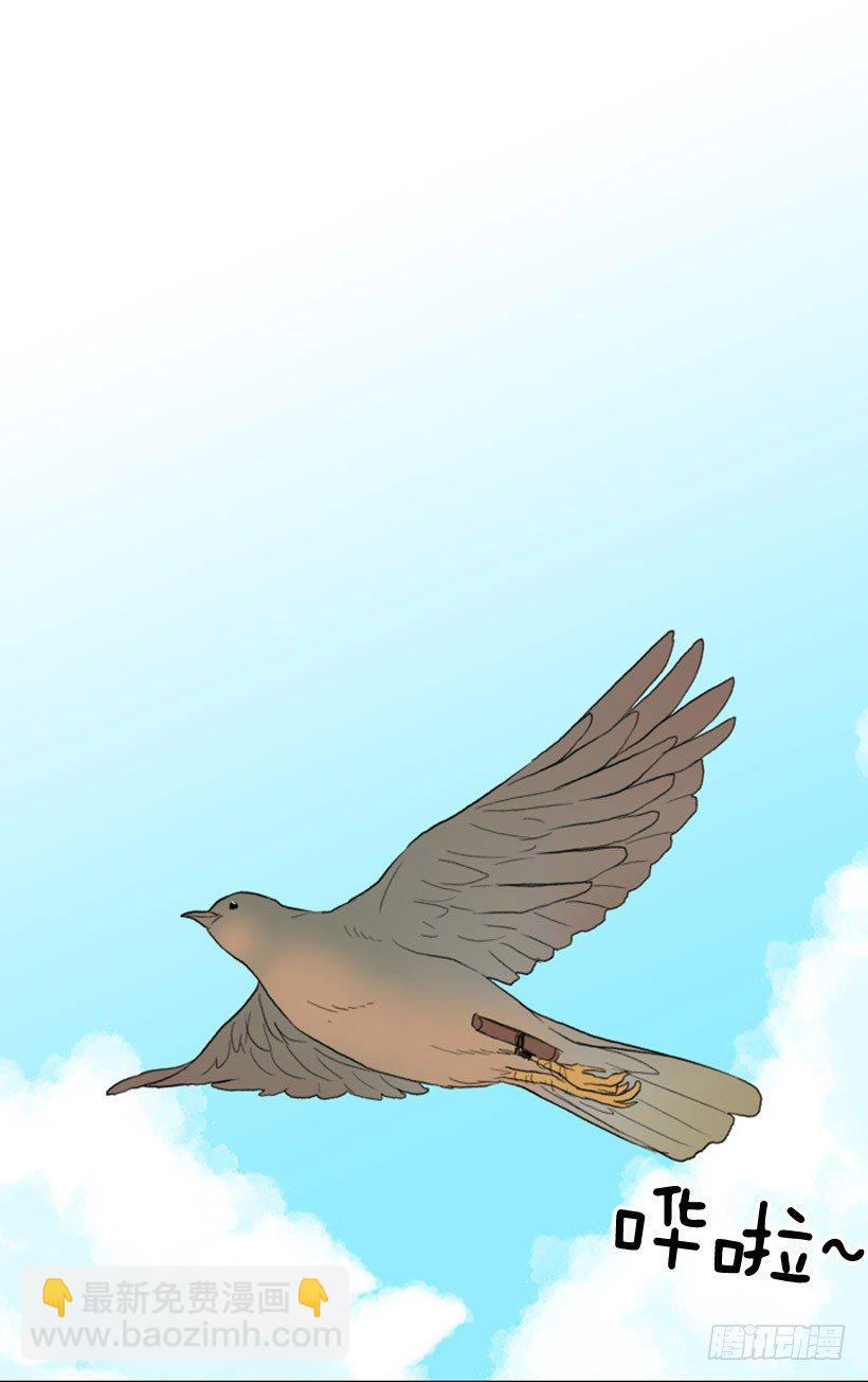 飞鸽传书1
