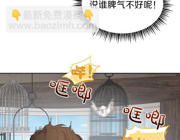 第2话 脾气差的小鸟10