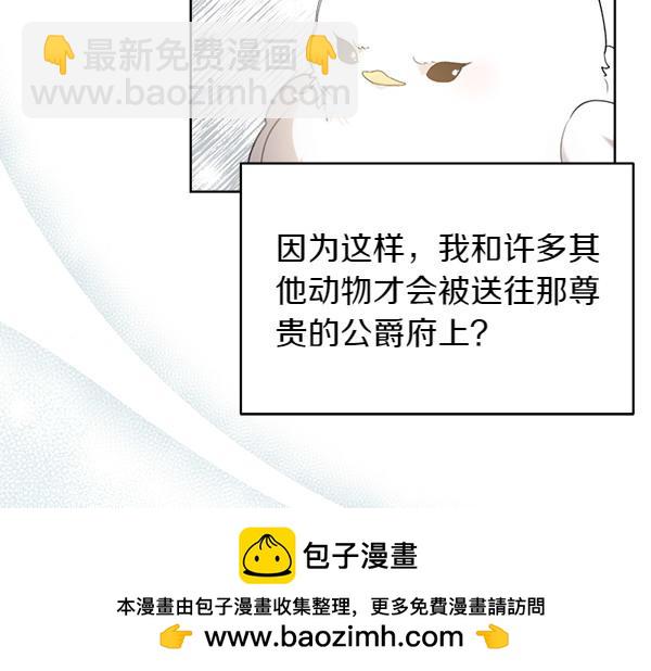 第2话 脾气差的小鸟103