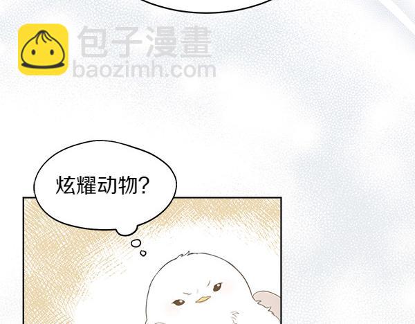 第2话 脾气差的小鸟104