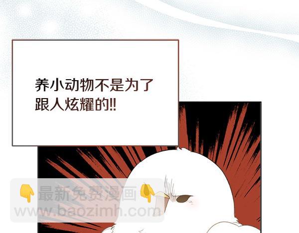 第2话 脾气差的小鸟108