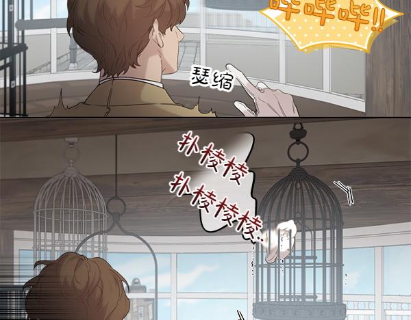 第2话 脾气差的小鸟11