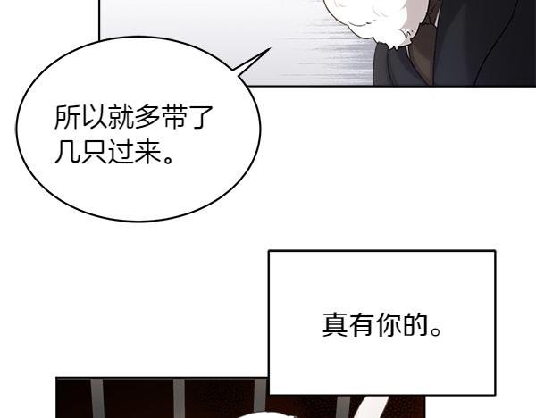 第2话 脾气差的小鸟124