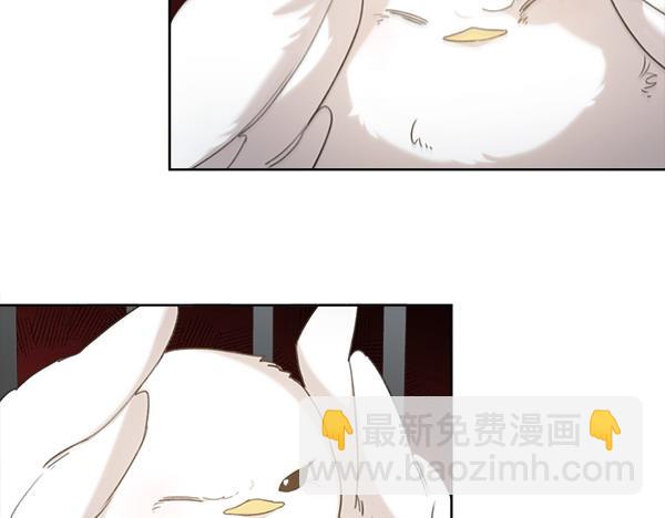 第2话 脾气差的小鸟145