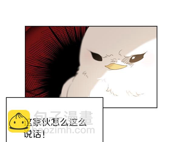 第2话 脾气差的小鸟163