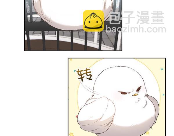 第2话 脾气差的小鸟21