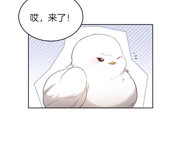 第2话 脾气差的小鸟24