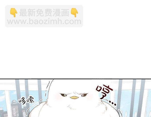 第2话 脾气差的小鸟4