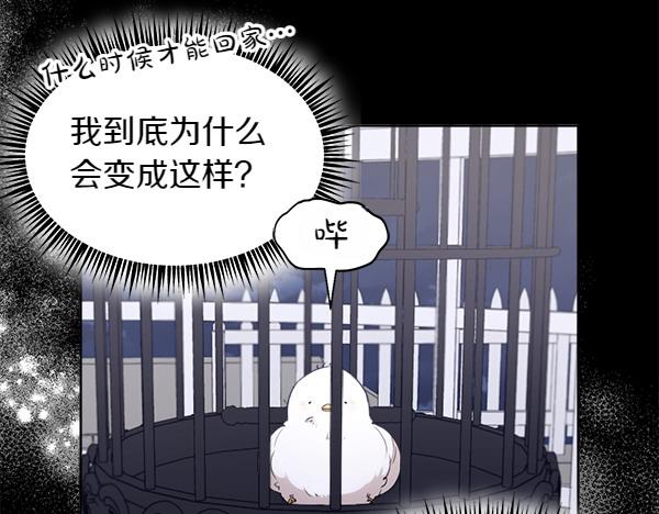 第2话 脾气差的小鸟40