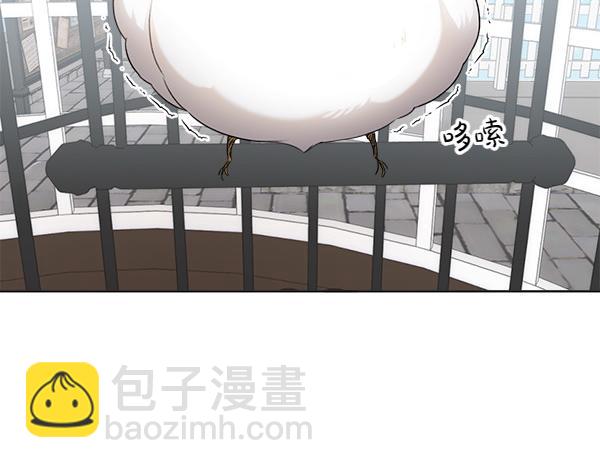 第2话 脾气差的小鸟5