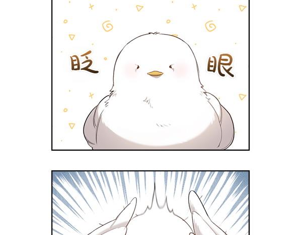 第2话 脾气差的小鸟65