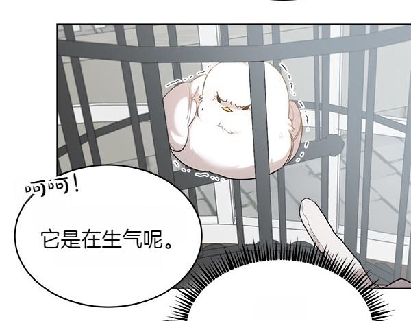 第2话 脾气差的小鸟9