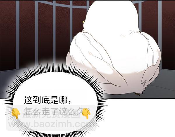 第2话 脾气差的小鸟94