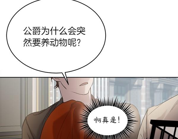 第2话 脾气差的小鸟97