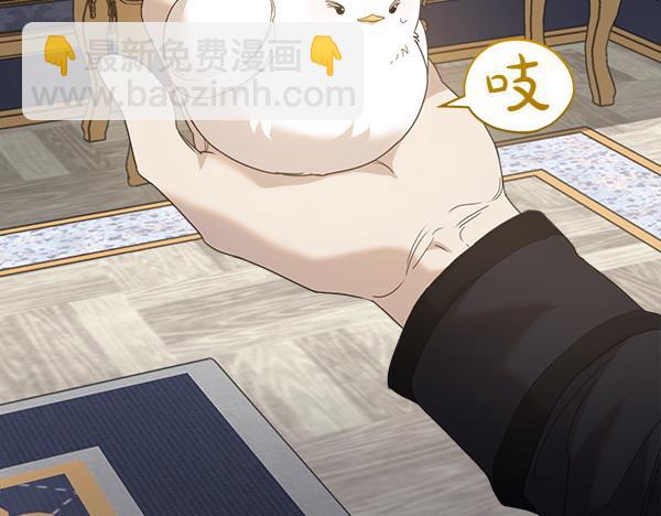 第5话 不一样的宠物46