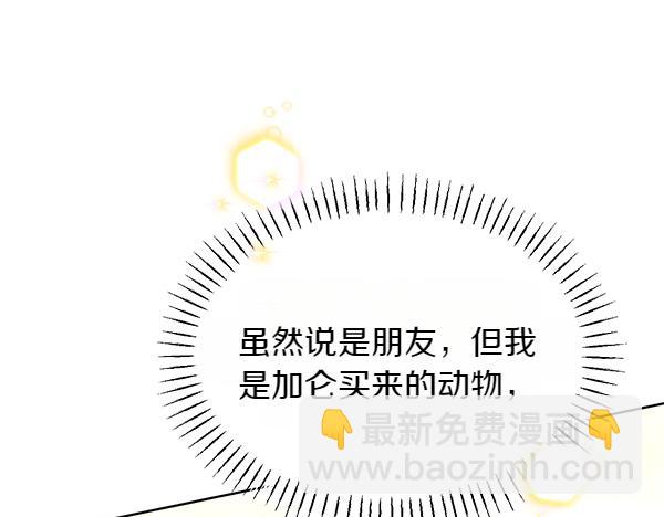 第42话 提问218