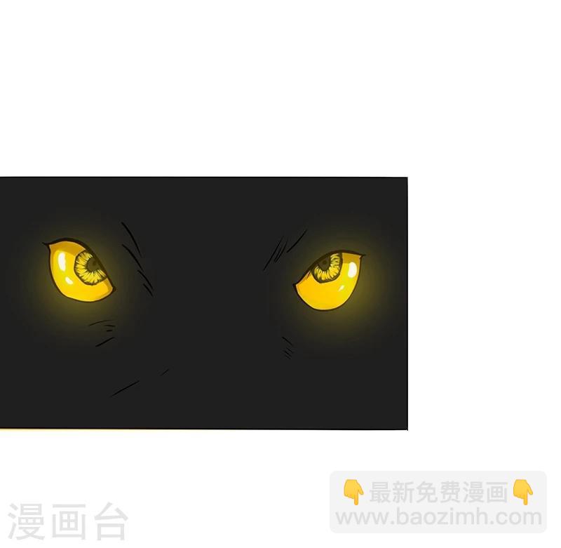 第177话 还有另外三只47