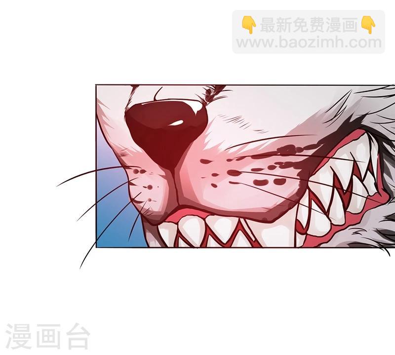 第177话 还有另外三只48