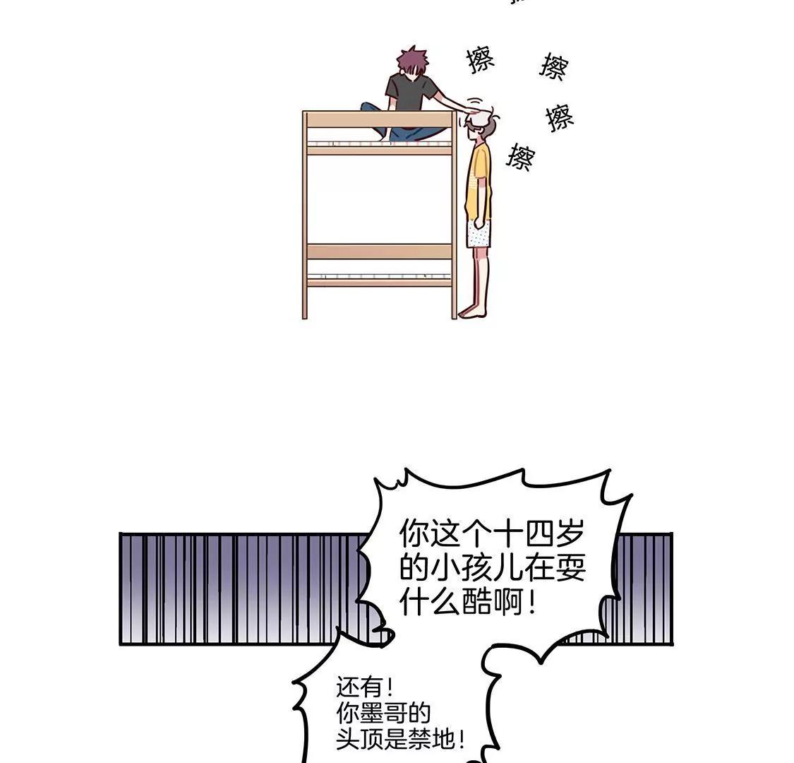 08话 鲨鱼的小心事11