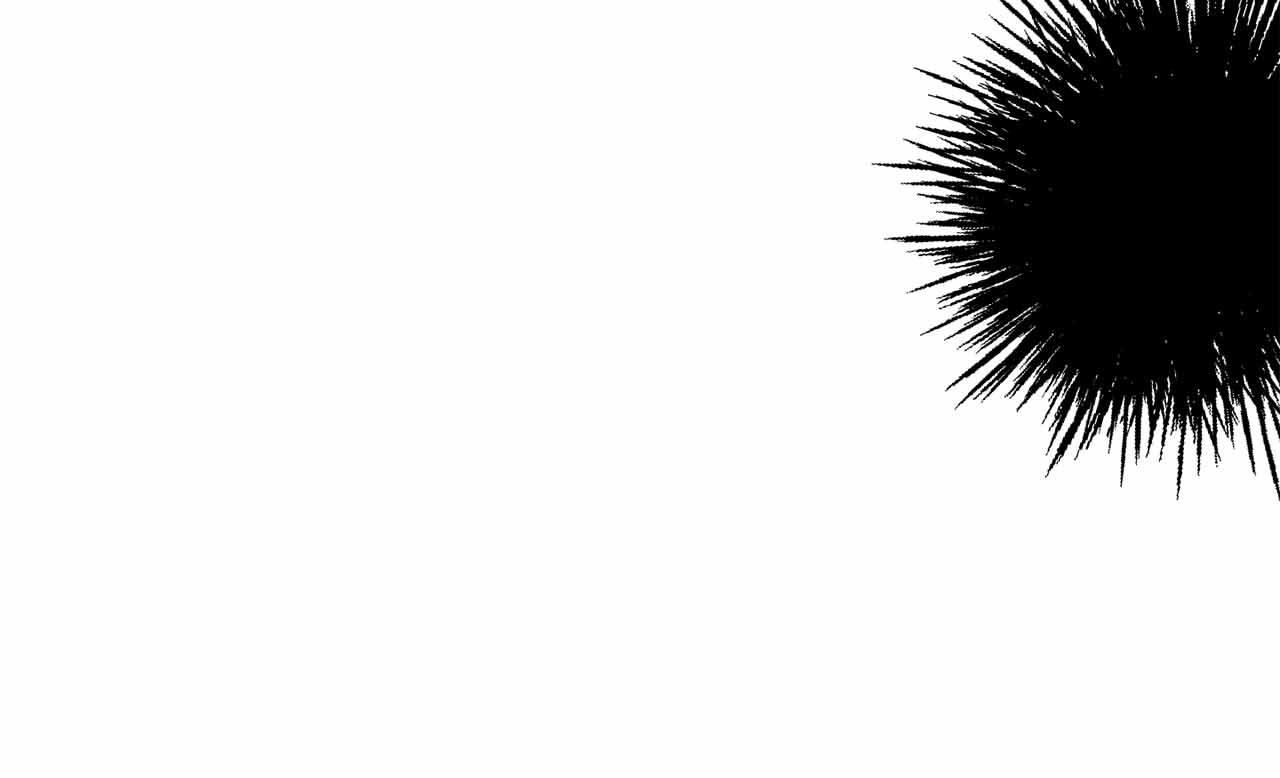 第31话 手段25