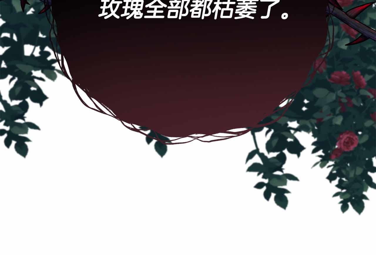 第31话 手段80