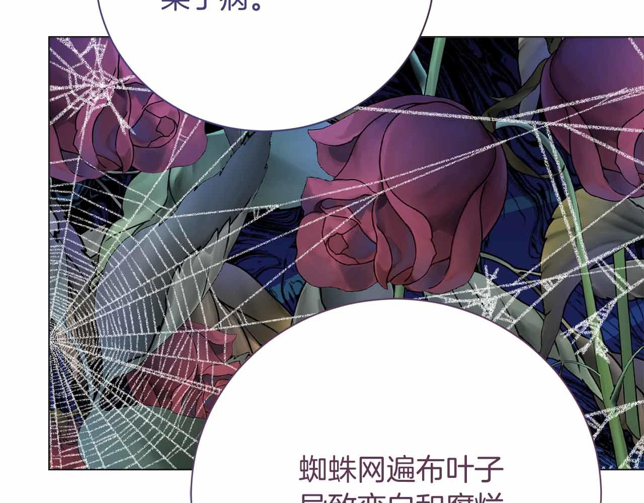 第31话 手段99