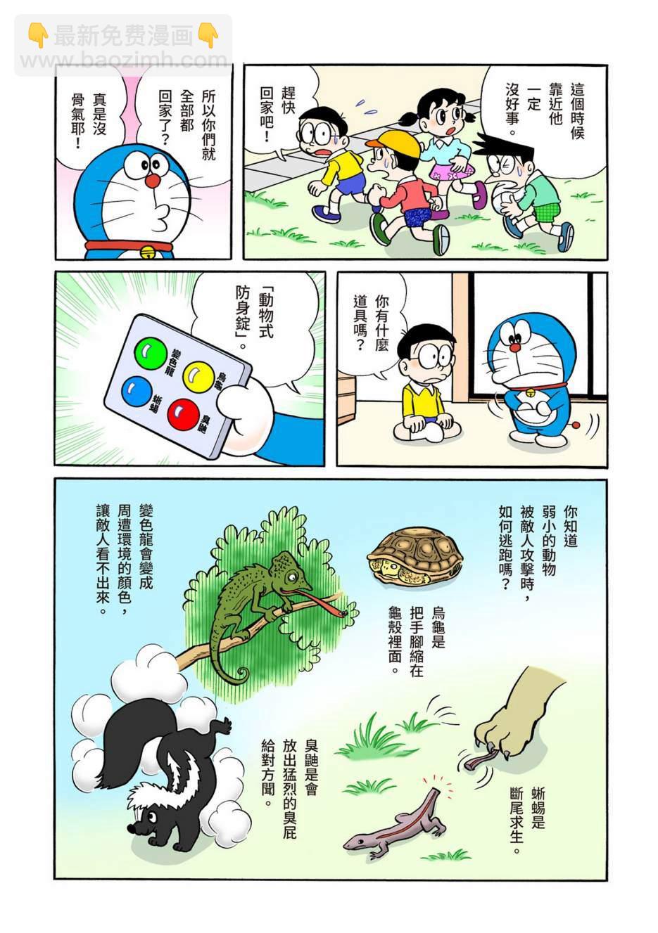 大合辑全彩05104