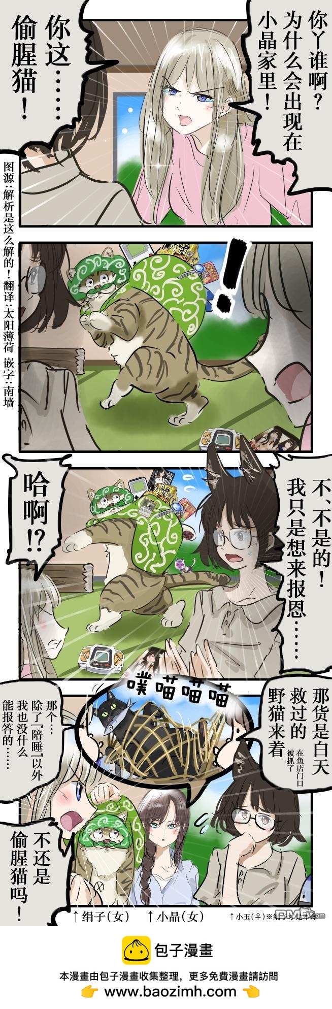 偷腥猫0