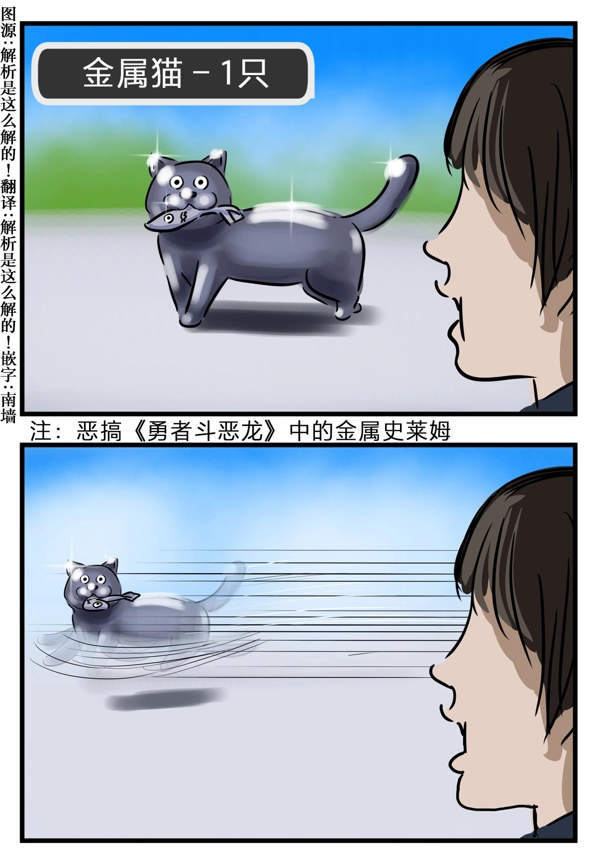 金属猫0