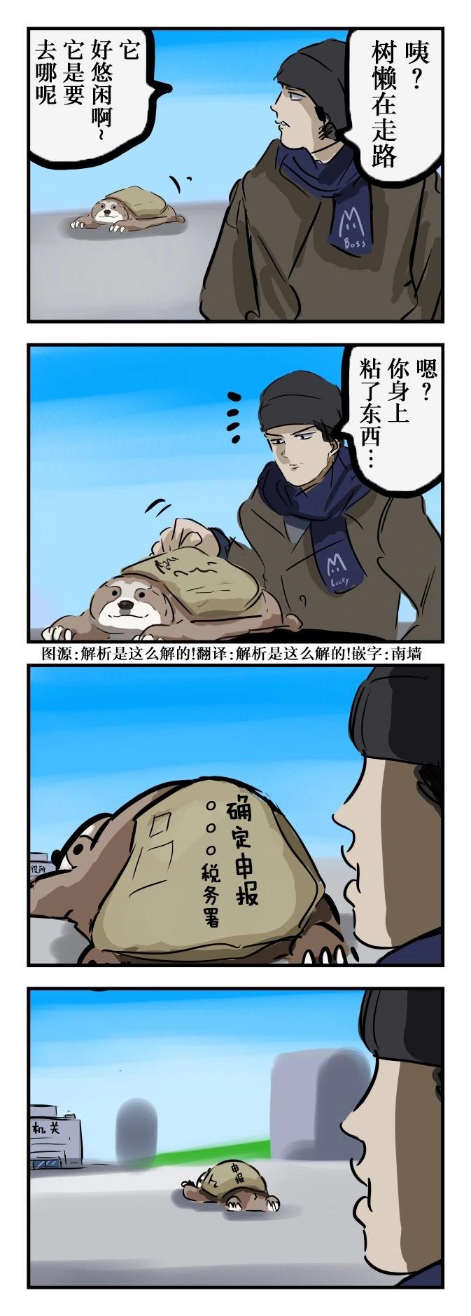 悠闲树懒0