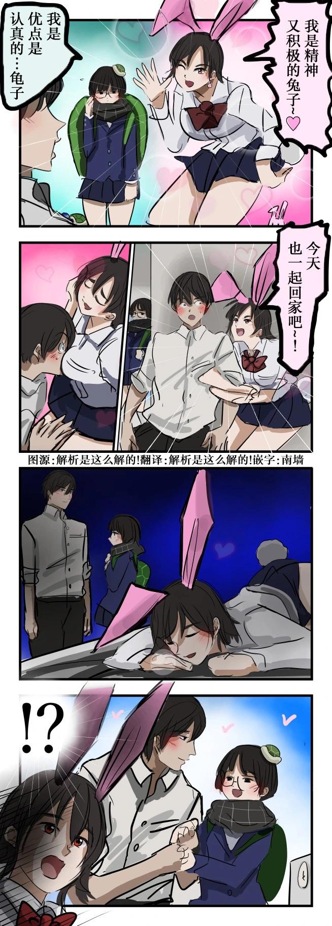 常见龟兔0
