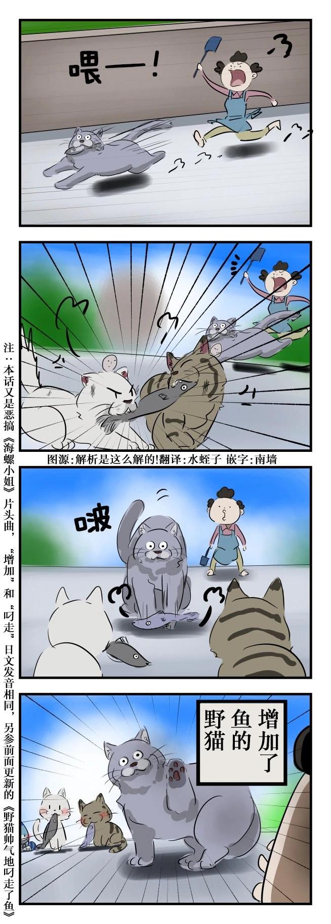 野猫0