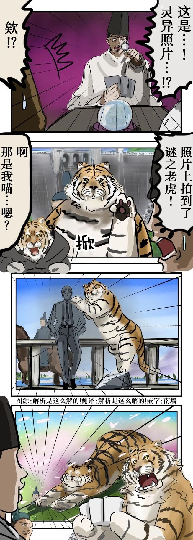 老虎与照片0