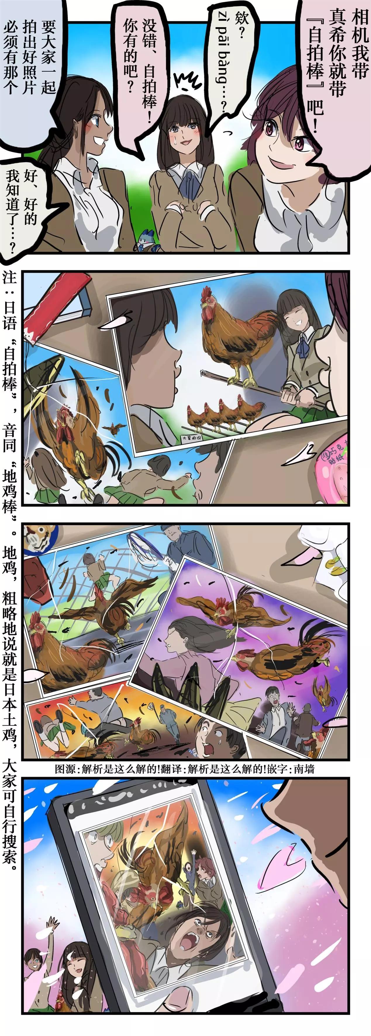 地鸡棒0