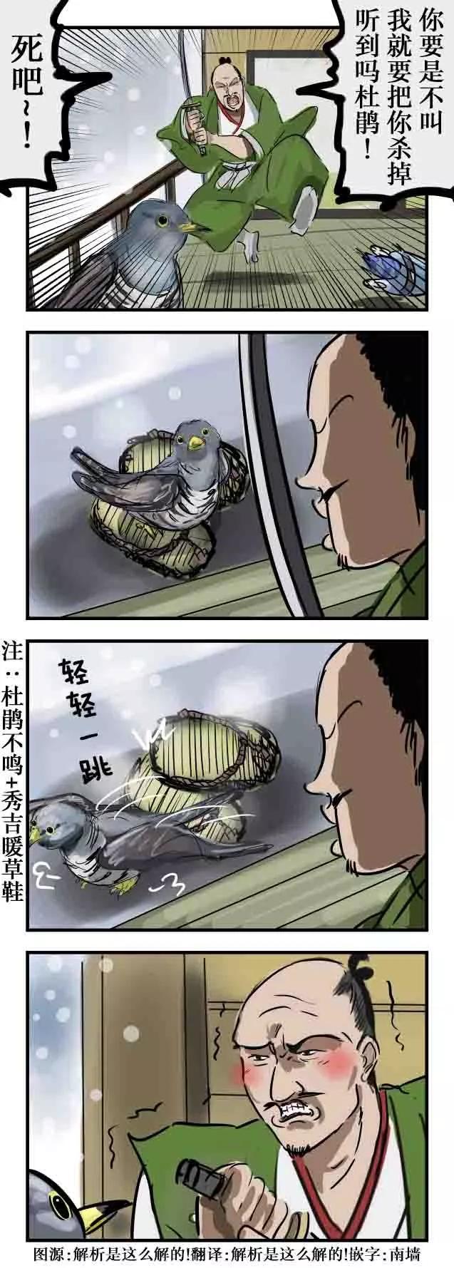 在捂热的杜鹃0
