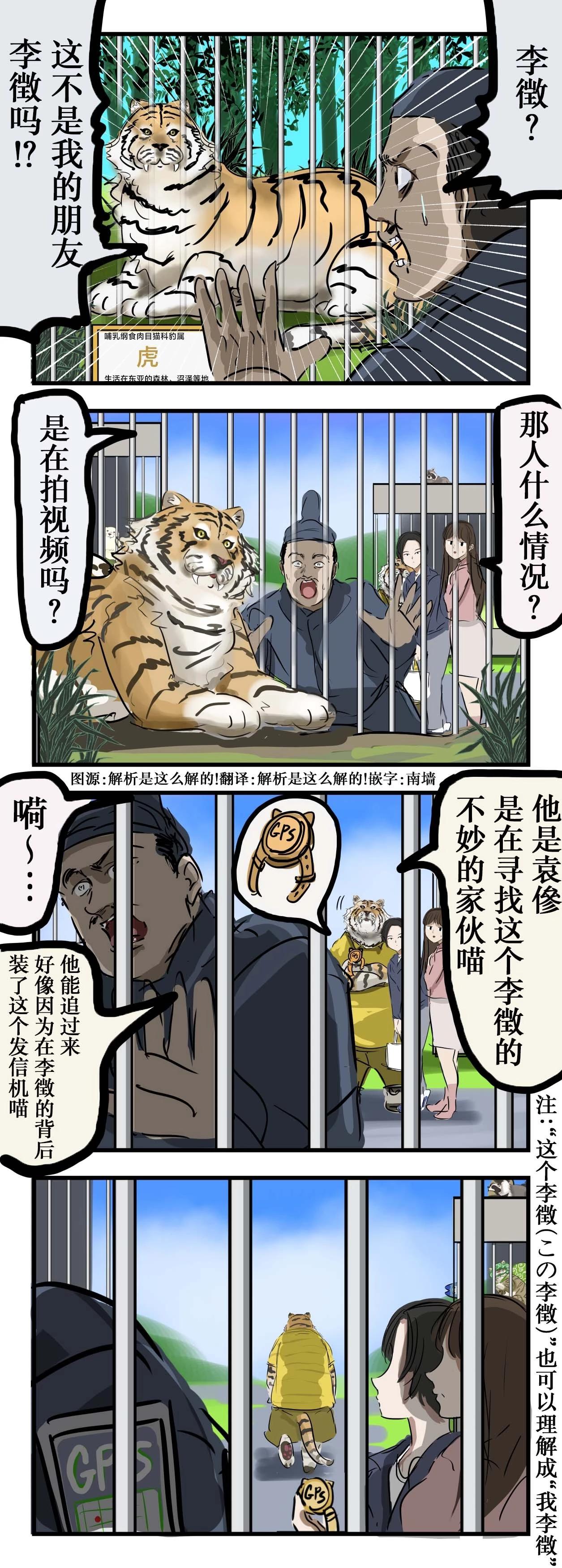 老虎错了0
