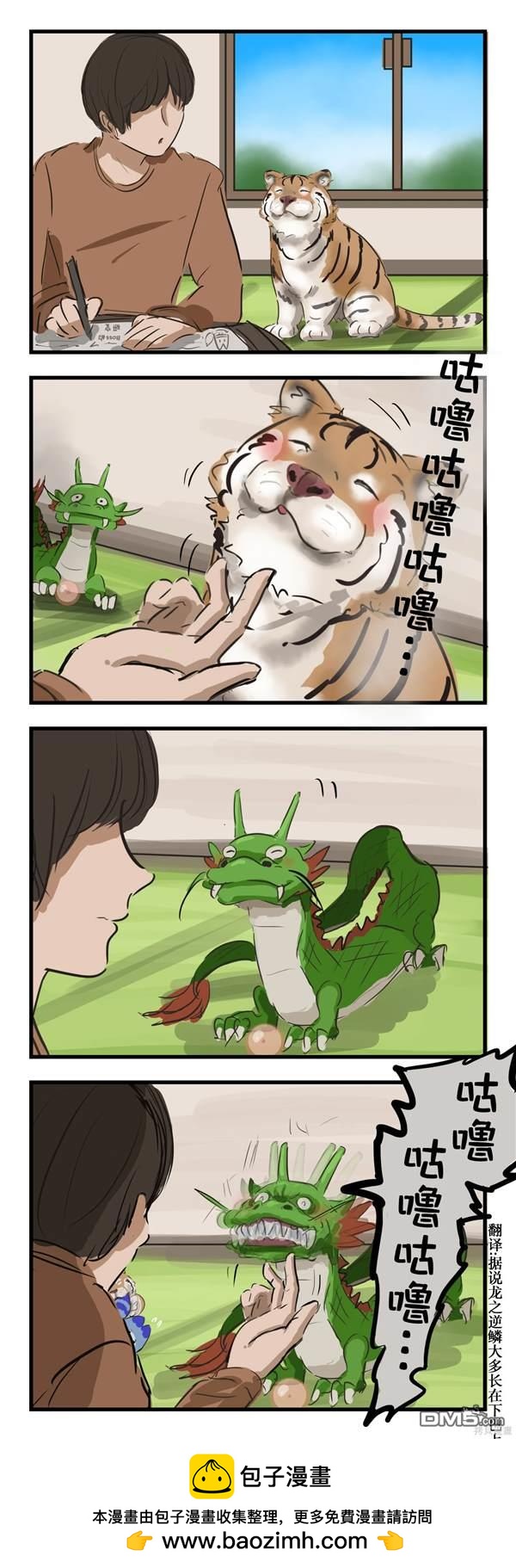 养了猫和龙的家0