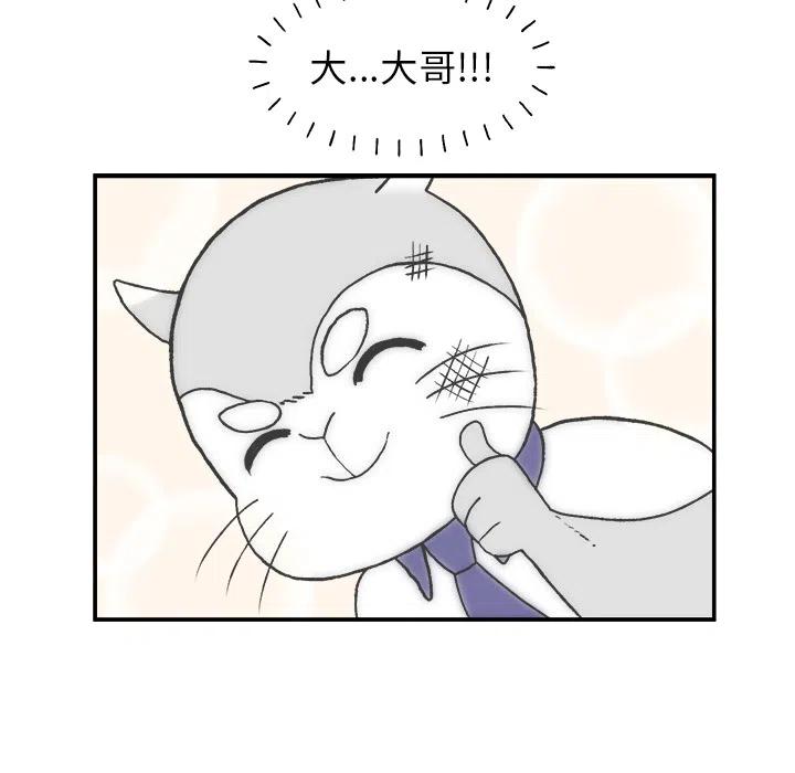 231