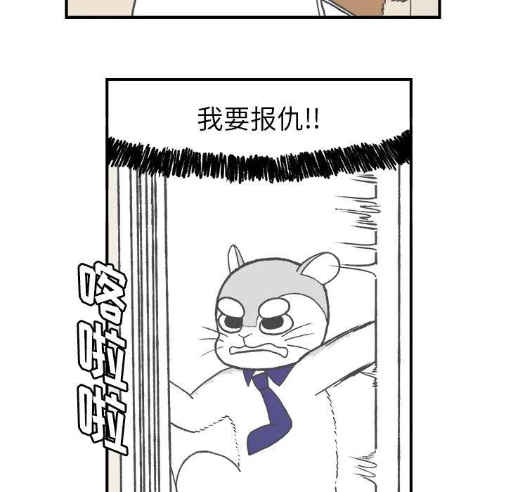 431
