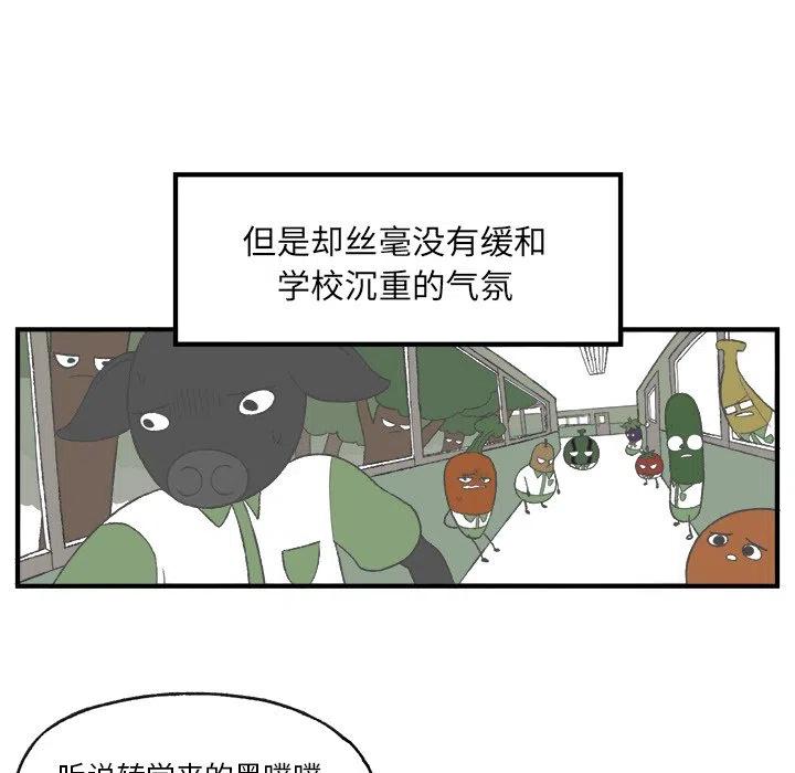 519