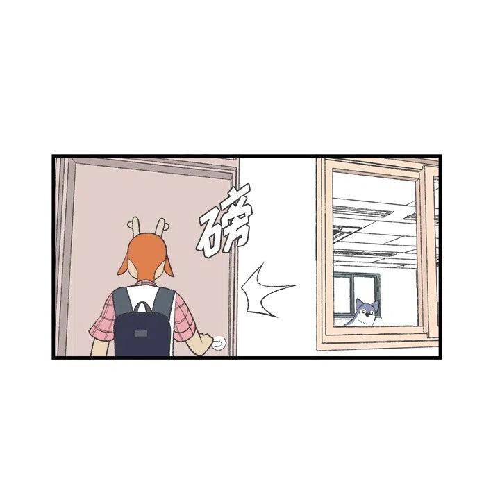 1511