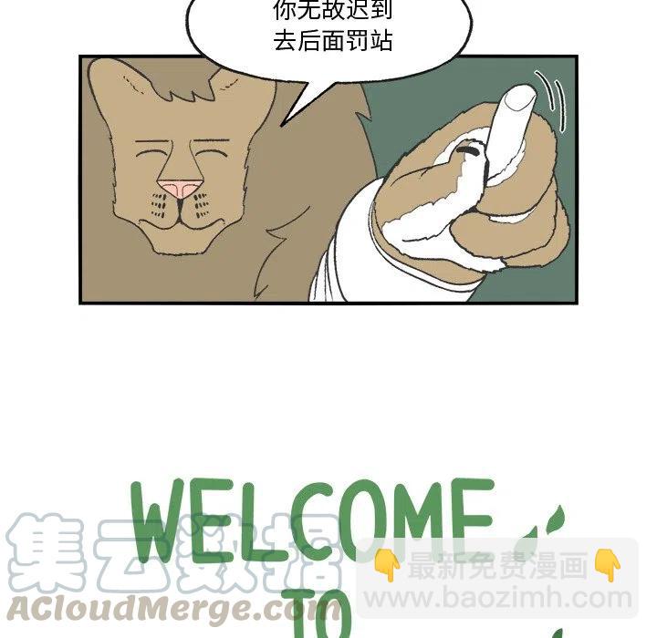 256