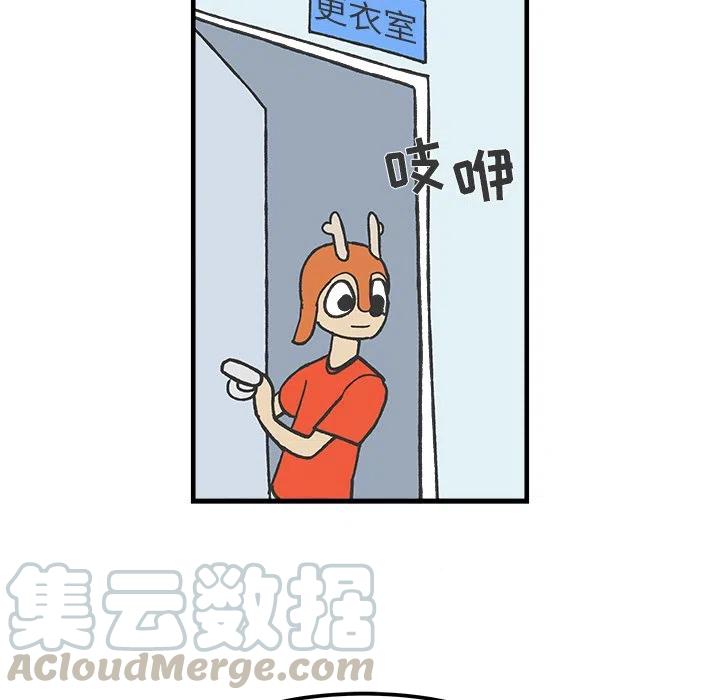 3536