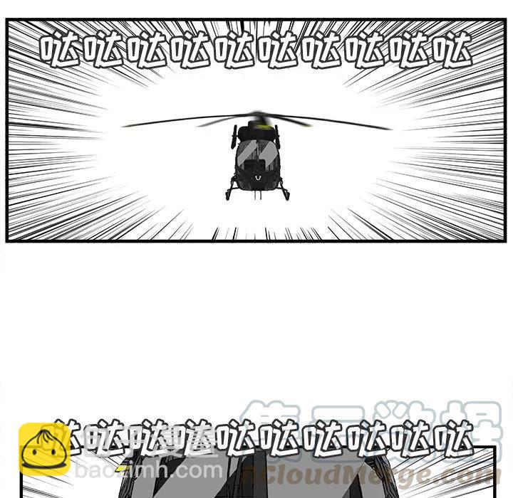 4033