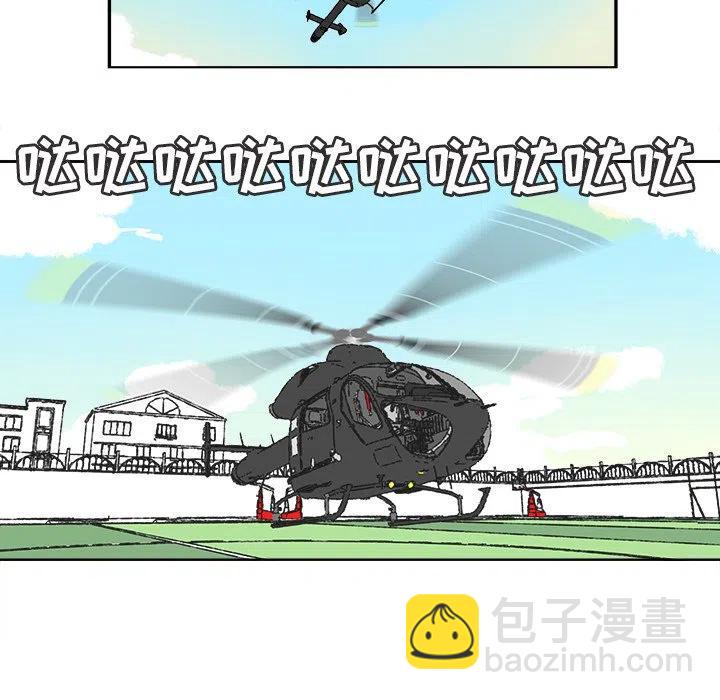 4038