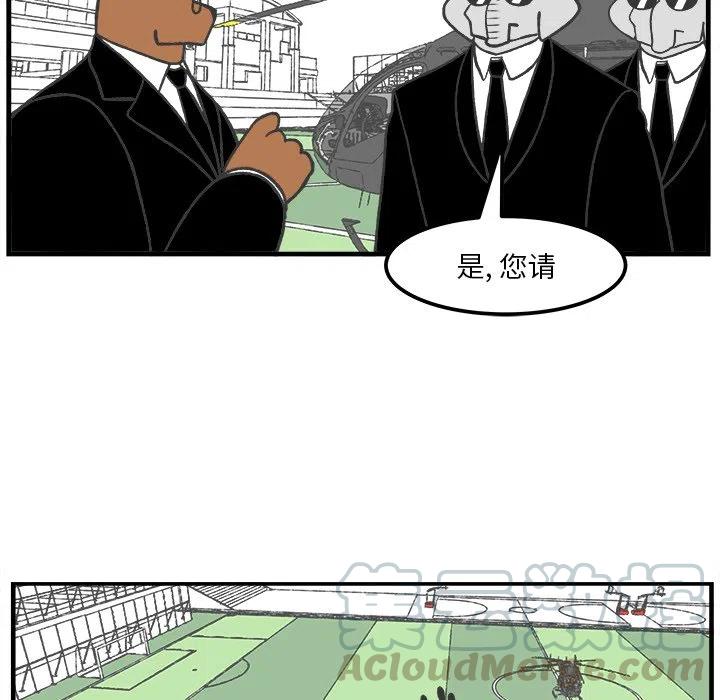 4052