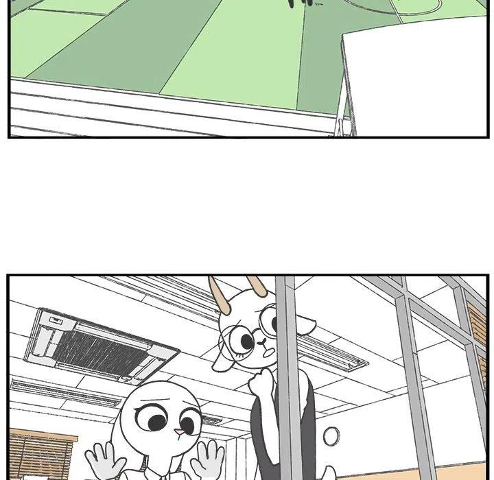 4053